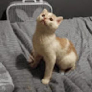 Meet your Posher, Sara